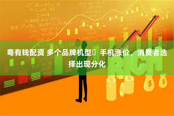 粤有钱配资 多个品牌机型​手机涨价，消费者选择出现分化